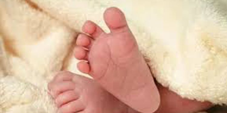 അട്ടപ്പാടിയിൽ പാല്‍ തൊണ്ടയില്‍ കുടുങ്ങി അഞ്ച് മാസം പ്രായമുള്ള കുഞ്ഞ് മരിച്ചു