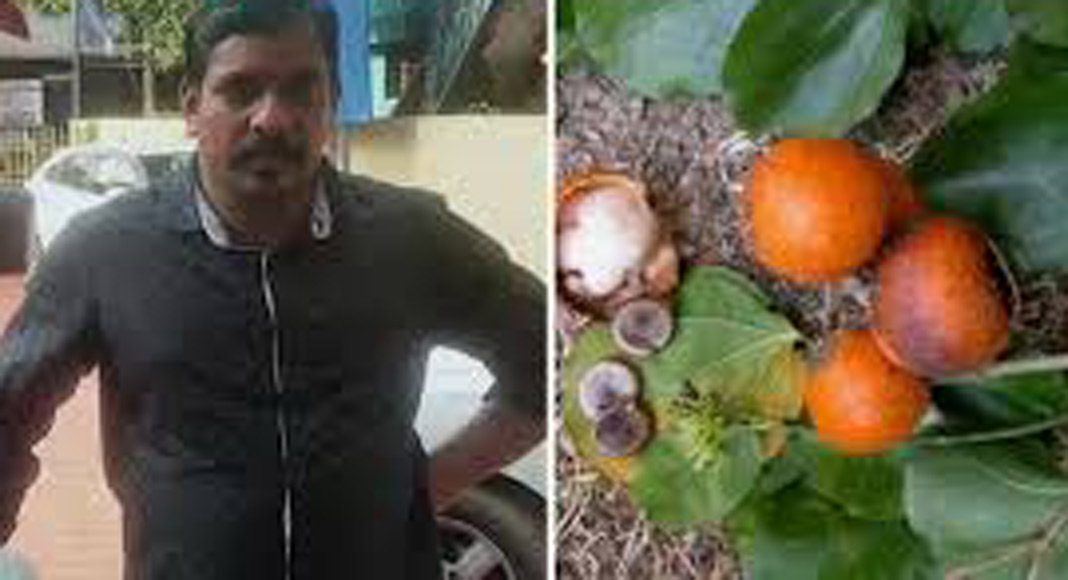 കാഞ്ഞിരക്കായ കഴിച്ച് യുവാവ് മരിച്ച സംഭവം ; അസ്വാഭാവിക മരണത്തിന് കേസെടുത്തു