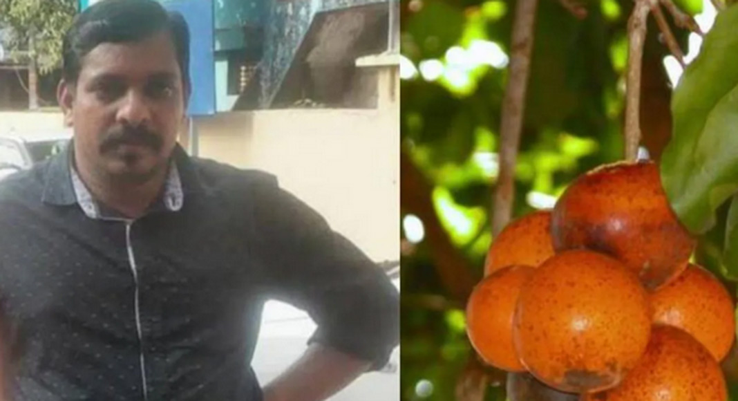 പാലക്കാട് പരദൂർ കുളമുക്കിൽ ആചാരത്തിന്റെ ഭാഗമായി കാഞ്ഞിരക്കായ കഴിച്ച യുവാവ് മരിച്ചു