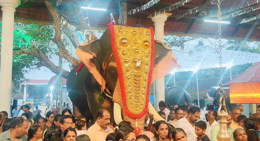 വോയ്സ് ഫോർ എലിഫന്റ്സ് റോബോട്ടിക് ആനയെ പുറത്തിറക്കി