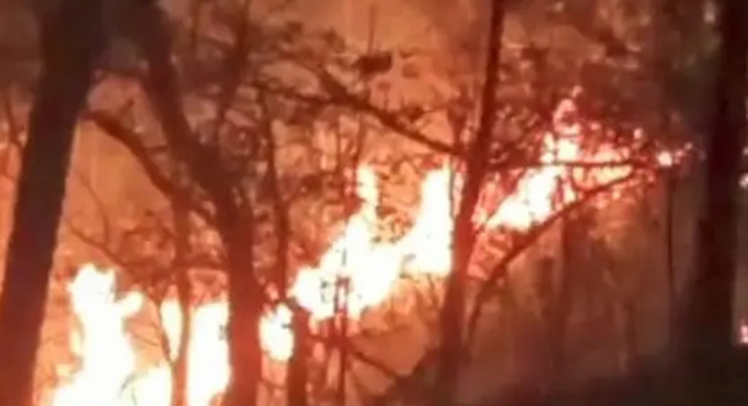 കോഴിക്കോട് വിലങ്ങാട് വനഭൂമിയിൽ ഉണ്ടായ കാട്ടുതീ നിയന്ത്രണ വിധേയമായി.