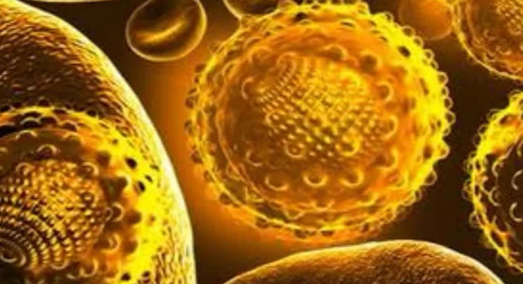 കാലിക്കറ്റ് സർവകലാശാല ലേഡീസ് ഹോസ്റ്റലിൽ മഞ്ഞപ്പിത്തം പടരുന്നു