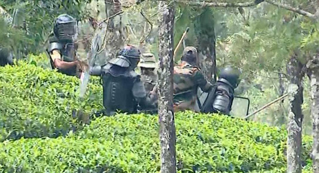ഇടുക്കി ഗ്രാമ്പിയിൽ മയക്കുവെടി വെച്ച കടുവ ചത്തു