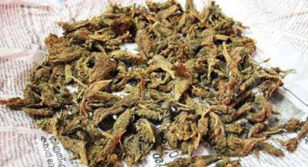 വിദ്യാർത്ഥിനിക്കെത്തിയ അജ്ഞാത പാഴ്സലിൽ കഞ്ചാവ് കണ്ടെത്തി ; കേസെടുത്ത് പോലീസ്