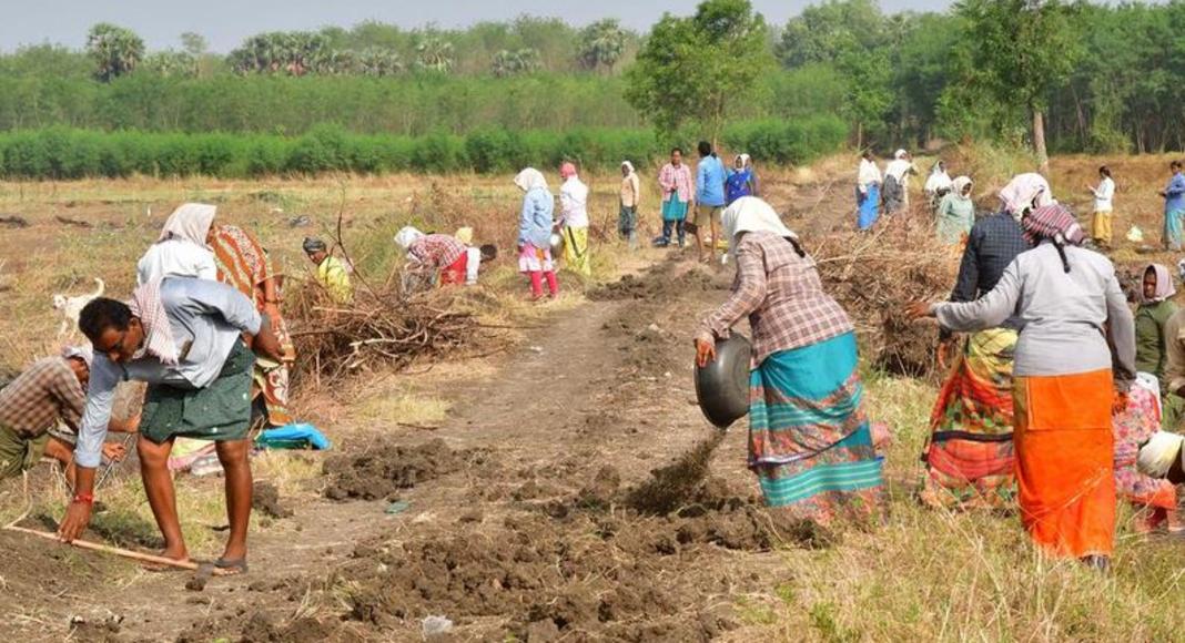 തൊഴിലുറപ്പ് പദ്ധതിയിലെ ക്രമക്കേടില്‍ സംസ്ഥാന വ്യാപക ഓഡിറ്റിന് നിര്‍ദേശം നല്‍കി കേന്ദ്ര ഗ്രാമവികസന മന്ത്രാലയം