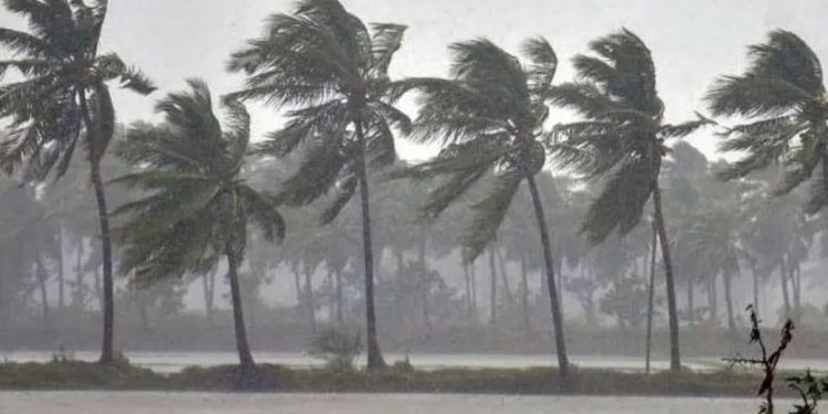 സംസ്ഥാനത്ത് കനത്ത മഴയില്‍ വ്യാപക നാശനഷ്ടങ്ങള്‍