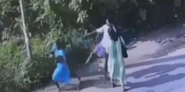 കോഴിക്കോട് തിരുവമ്പാടിയില് നടുറോട്ടില് മധ്യവയസ്ക്കയെ ചവിട്ടി വീഴ്ത്തി യുവാവ്